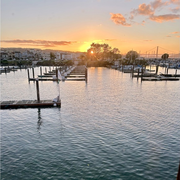 Meet your Posher, Elena - Picture 1 of 1